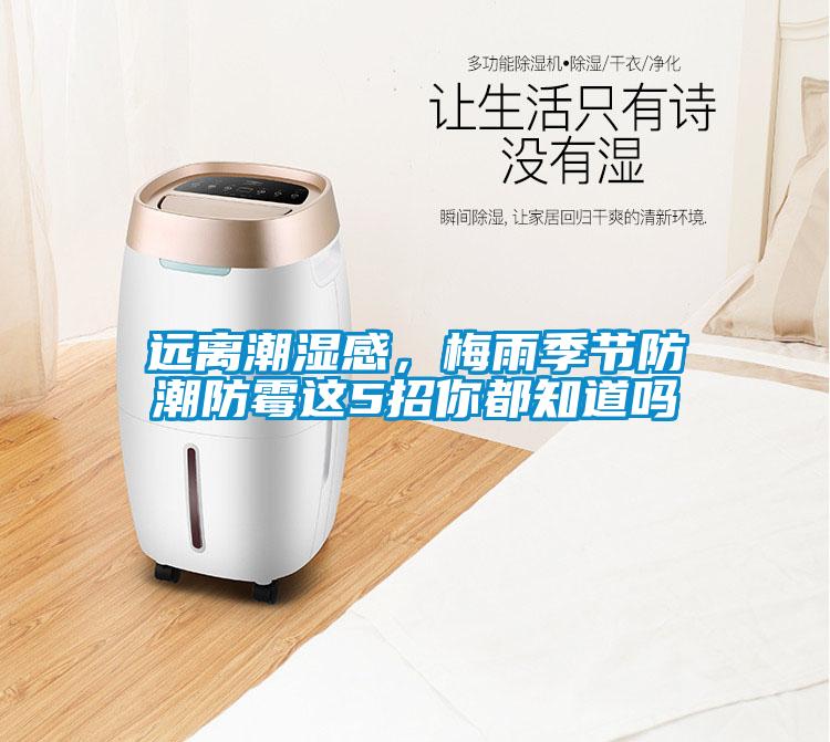 遠(yuǎn)離潮濕感，梅雨季節(jié)防潮防霉這5招你都知道嗎