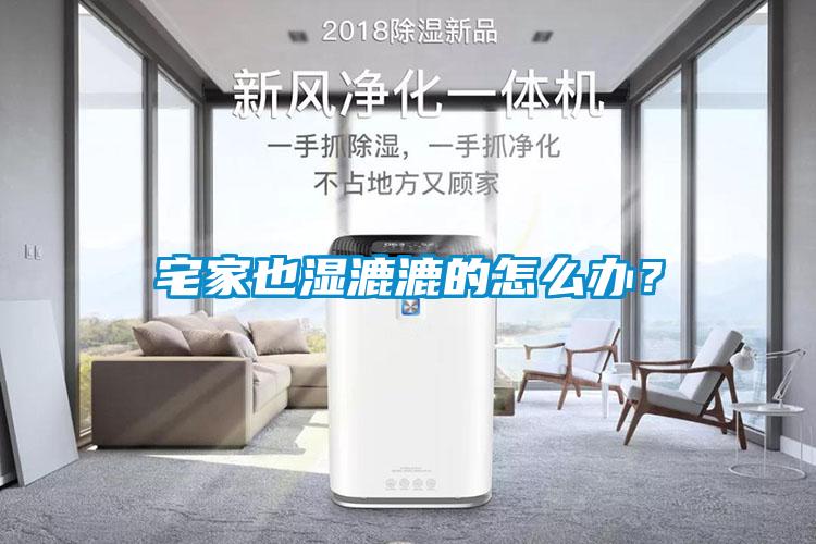 宅家也濕漉漉的怎么辦？