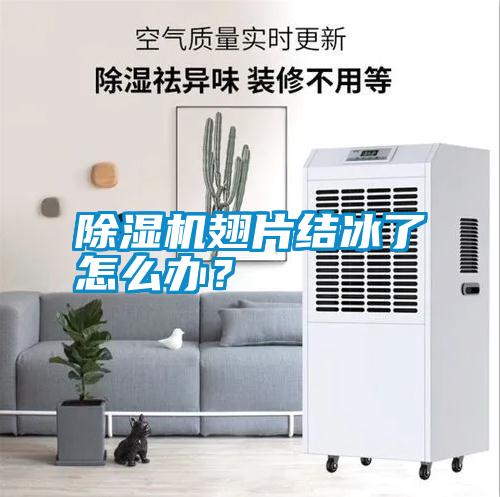 除濕機(jī)翅片結(jié)冰了怎么辦？