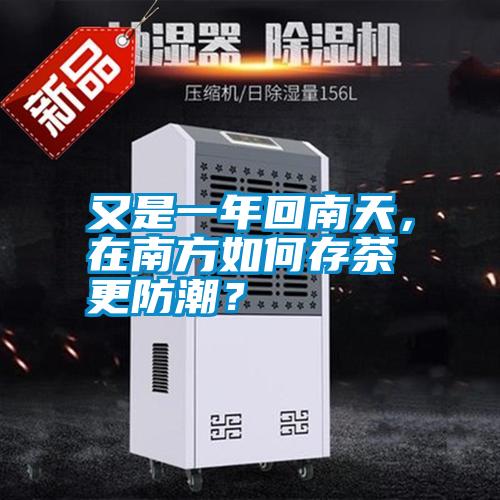 又是一年回南天，在南方如何存茶更防潮？