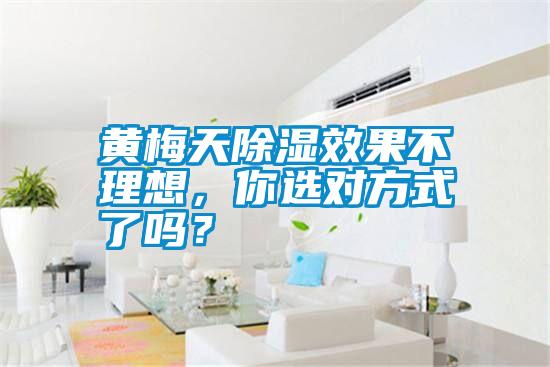 黃梅天除濕效果不理想，你選對方式了嗎？