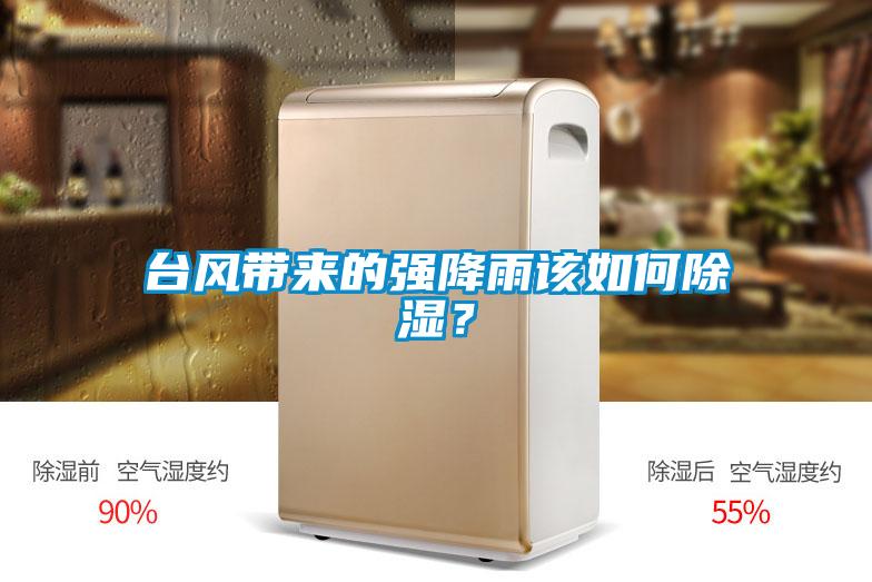 臺風(fēng)帶來的強(qiáng)降雨該如何除濕？