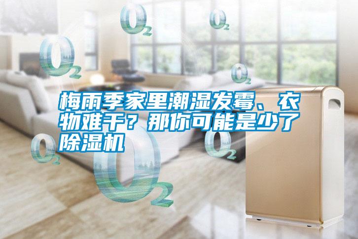 梅雨季家里潮濕發(fā)霉、衣物難干？那你可能是少了除濕機(jī)