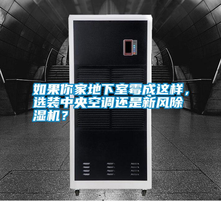 如果你家地下室霉成這樣，選裝中央空調(diào)還是新風(fēng)除濕機(jī)？