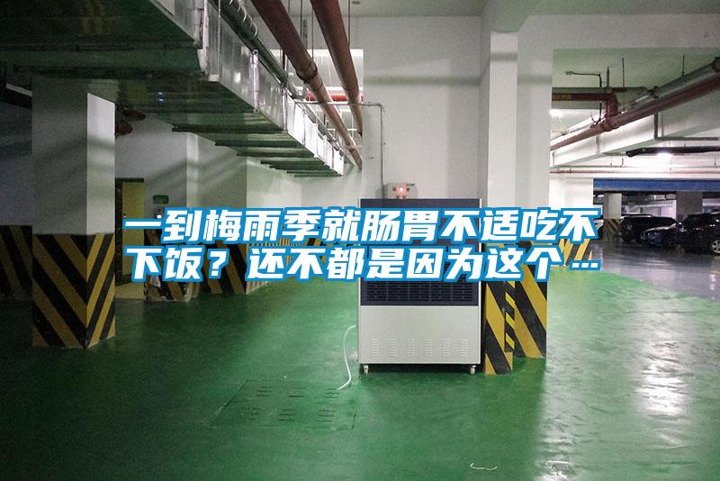 一到梅雨季就腸胃不適吃不下飯？還不都是因為這個…