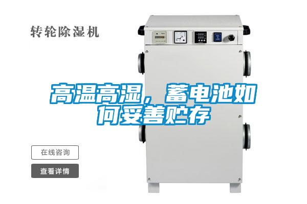 高溫高濕，蓄電池如何妥善貯存