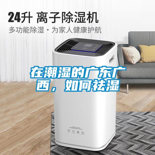 在潮濕的廣東廣西，如何祛濕