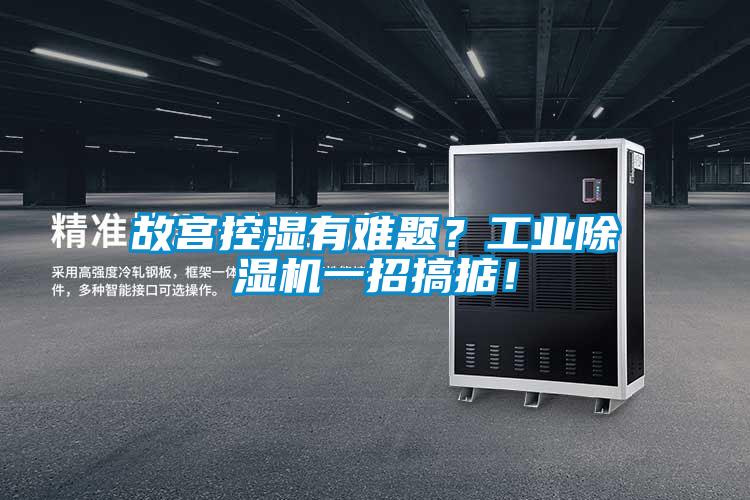 故宮控濕有難題？工業(yè)除濕機一招搞掂！