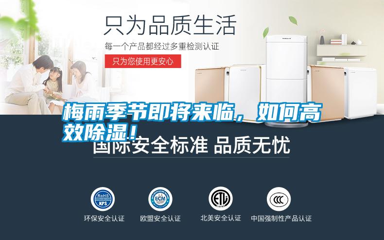 梅雨季節(jié)即將來臨，如何高效除濕！
