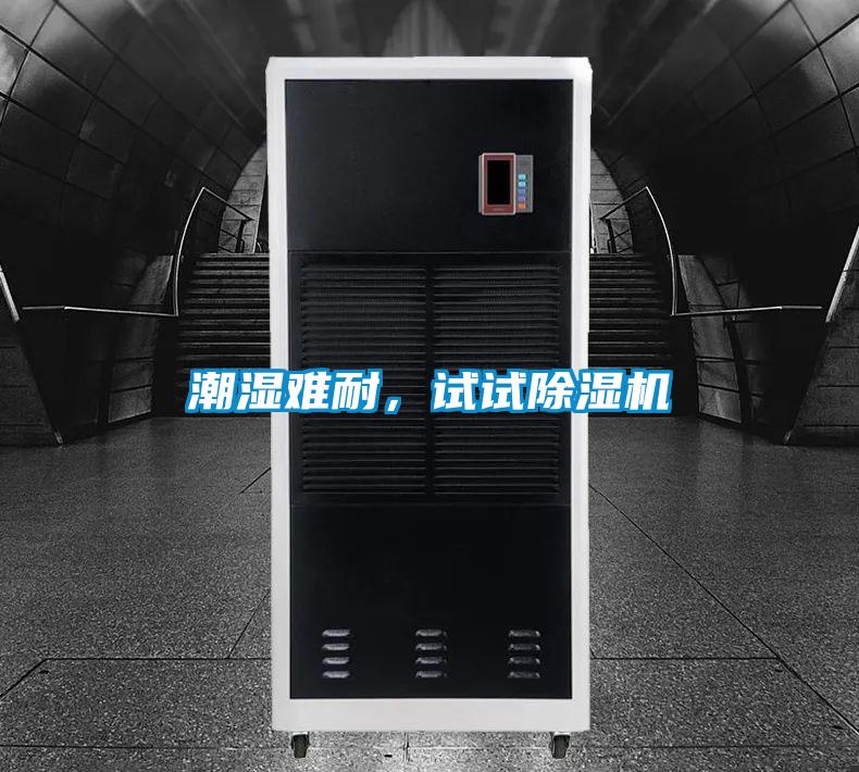 潮濕難耐，試試除濕機(jī)