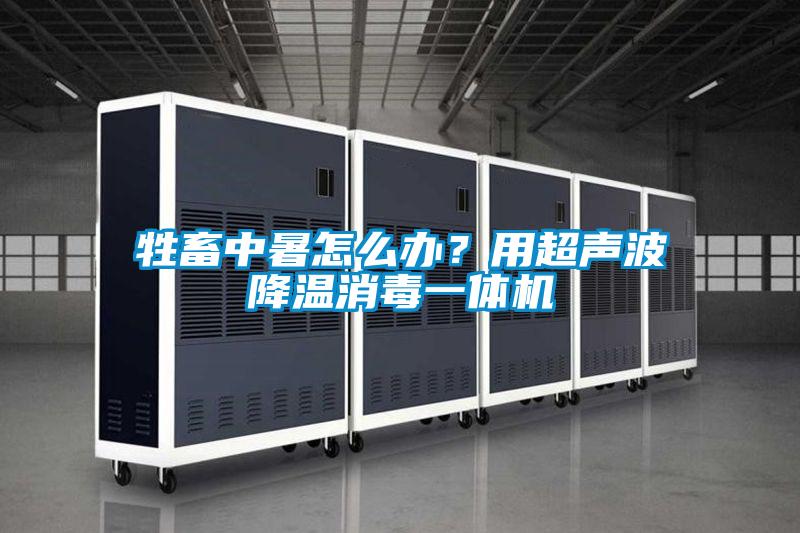 牲畜中暑怎么辦？用超聲波降溫消毒一體機
