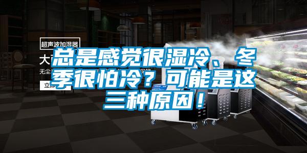 總是感覺很濕冷、冬季很怕冷？可能是這三種原因！