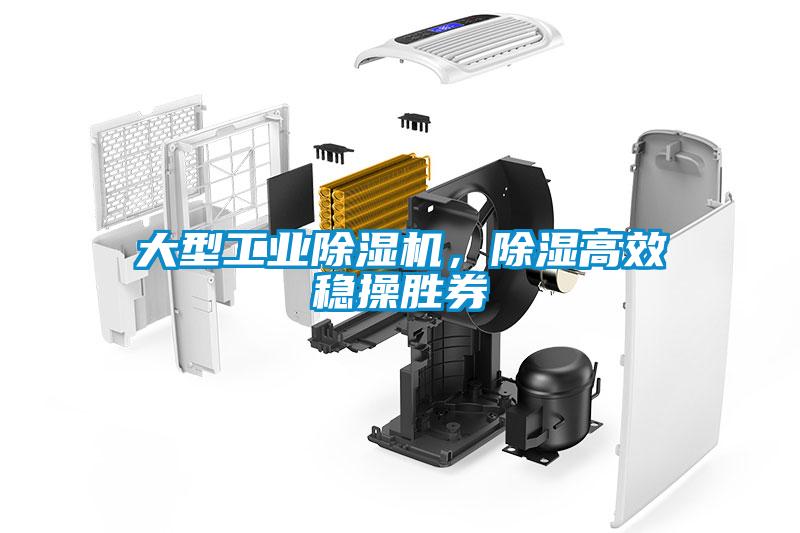 大型工業(yè)除濕機，除濕高效穩(wěn)操勝券