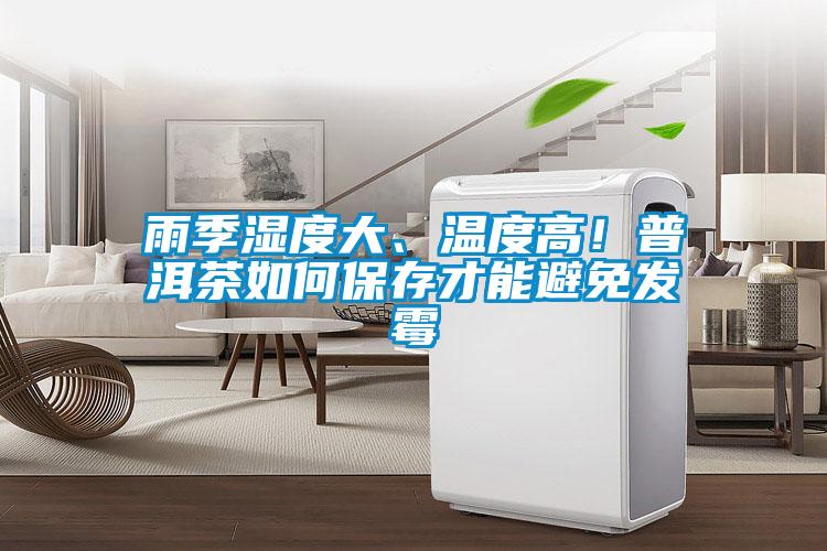 雨季濕度大、溫度高！普洱茶如何保存才能避免發(fā)霉