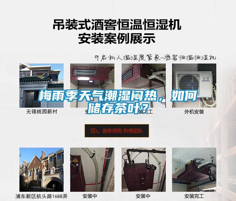 梅雨季天氣潮濕悶熱，如何儲存茶葉？