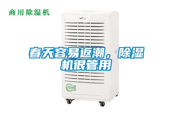 春天容易返潮，除濕機(jī)很管用