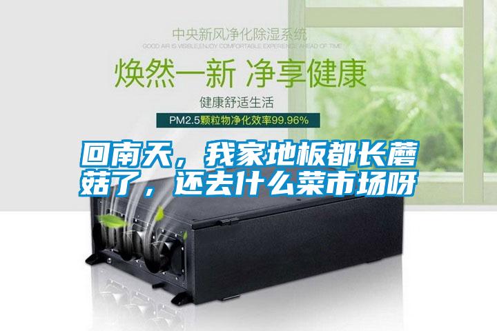 回南天，我家地板都長蘑菇了，還去什么菜市場呀