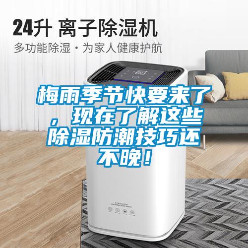 梅雨季節(jié)快要來了，現(xiàn)在了解這些除濕防潮技巧還不晚！