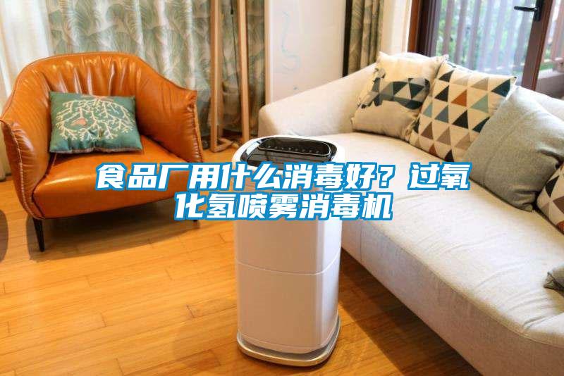 食品廠用什么消毒好？過氧化氫噴霧消毒機