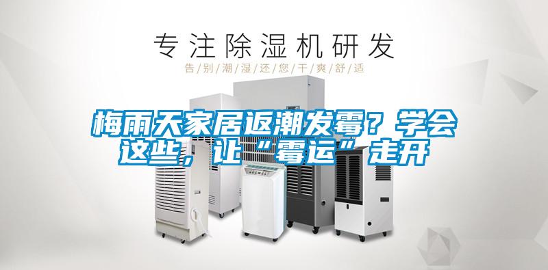 梅雨天家居返潮發(fā)霉？學(xué)會(huì)這些，讓“霉運(yùn)”走開(kāi)