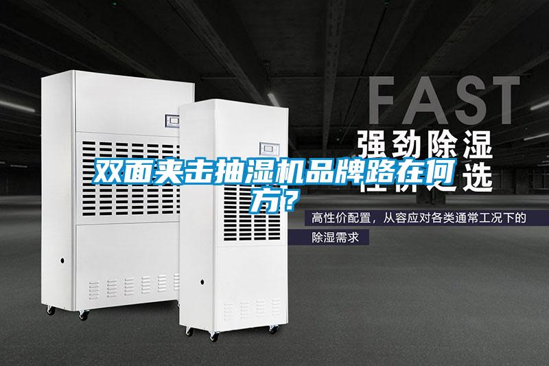 雙面夾擊抽濕機(jī)品牌路在何方？
