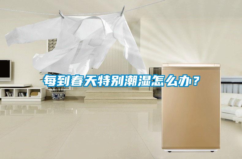每到春天特別潮濕怎么辦？