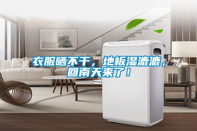 衣服曬不干，地板濕漉漉，回南天來了！
