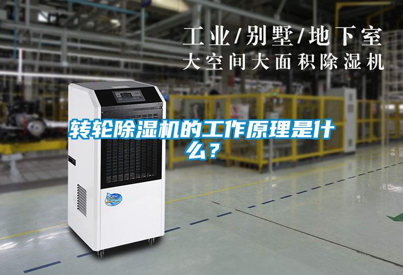 轉(zhuǎn)輪除濕機(jī)的工作原理是什么？
