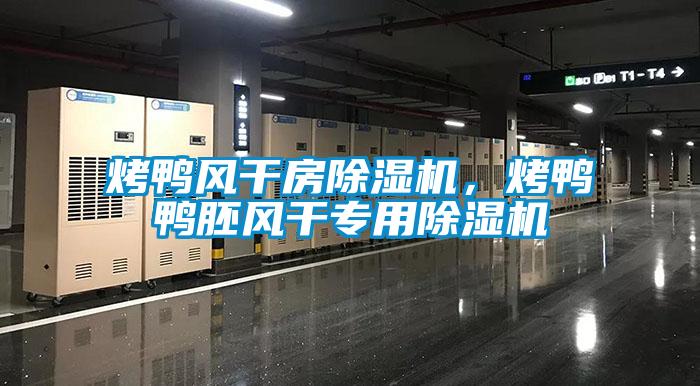烤鴨風(fēng)干房除濕機(jī)，烤鴨鴨胚風(fēng)干專用除濕機(jī)
