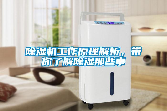 除濕機(jī)工作原理解析，帶你了解除濕那些事