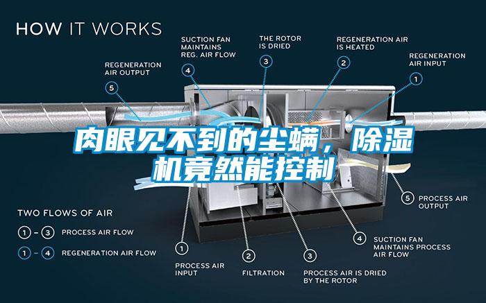 肉眼見(jiàn)不到的塵螨，除濕機(jī)竟然能控制