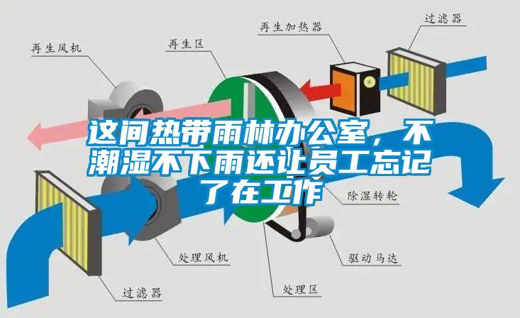 這間熱帶雨林辦公室，不潮濕不下雨還讓員工忘記了在工作