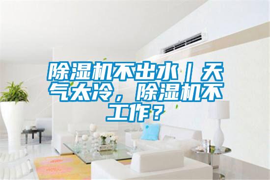 除濕機(jī)不出水｜天氣太冷，除濕機(jī)不工作？