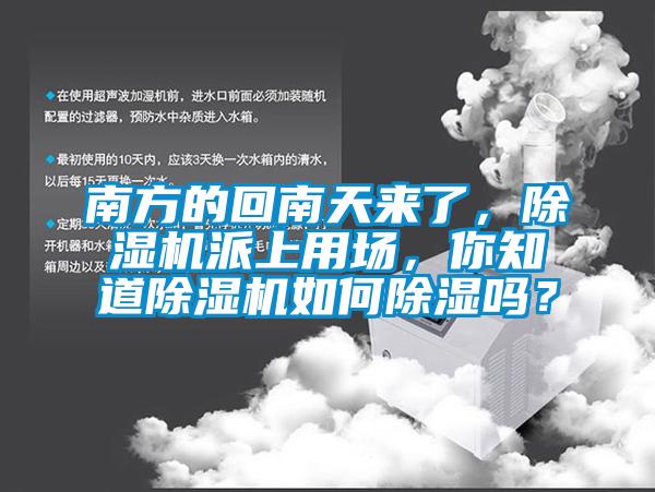 南方的回南天來(lái)了，除濕機(jī)派上用場(chǎng)，你知道除濕機(jī)如何除濕嗎？