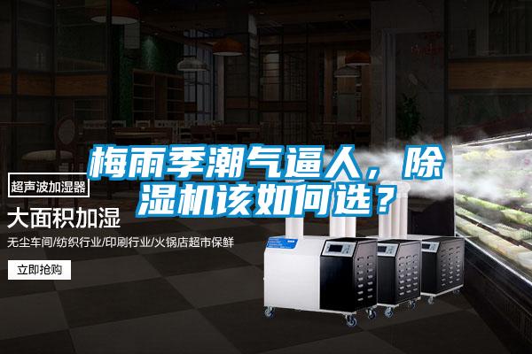 梅雨季潮氣逼人，除濕機該如何選？