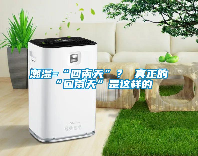 潮濕=“回南天”？ 真正的“回南天”是這樣的