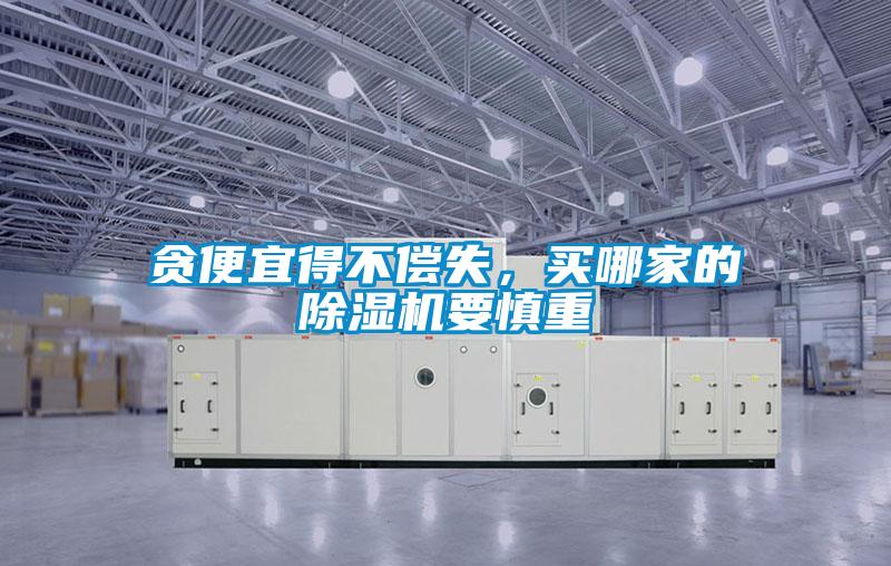 貪便宜得不償失，買哪家的除濕機要慎重