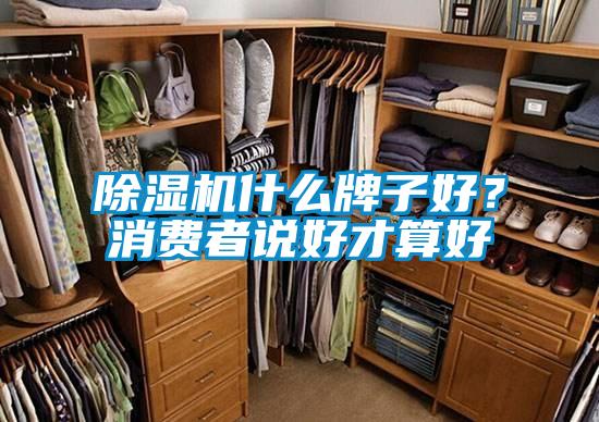 除濕機(jī)什么牌子好？消費(fèi)者說好才算好