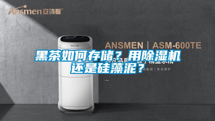 黑茶如何存儲(chǔ)？用除濕機(jī)還是硅藻泥？