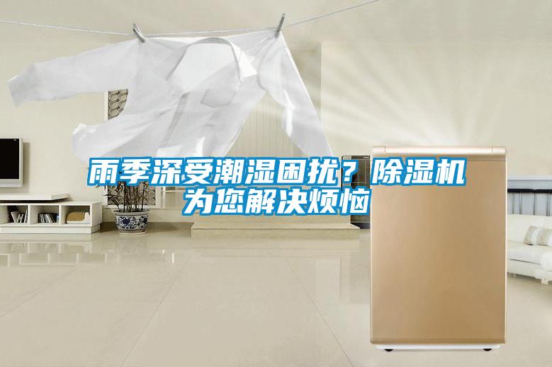 雨季深受潮濕困擾？除濕機(jī)為您解決煩惱