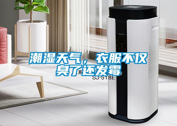 潮濕天氣，衣服不僅臭了還發(fā)霉