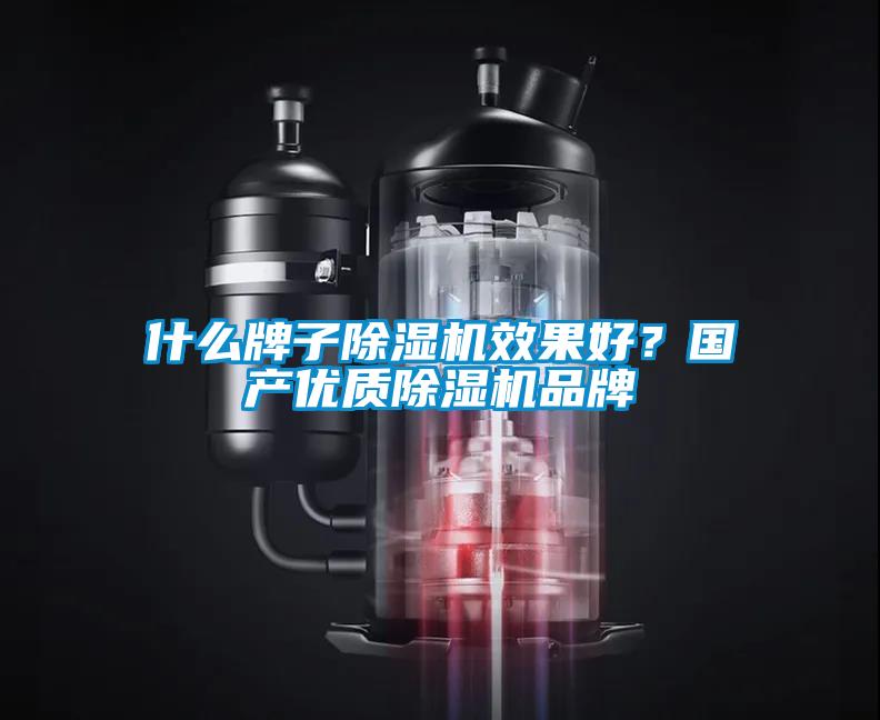 什么牌子除濕機(jī)效果好？國產(chǎn)優(yōu)質(zhì)除濕機(jī)品牌