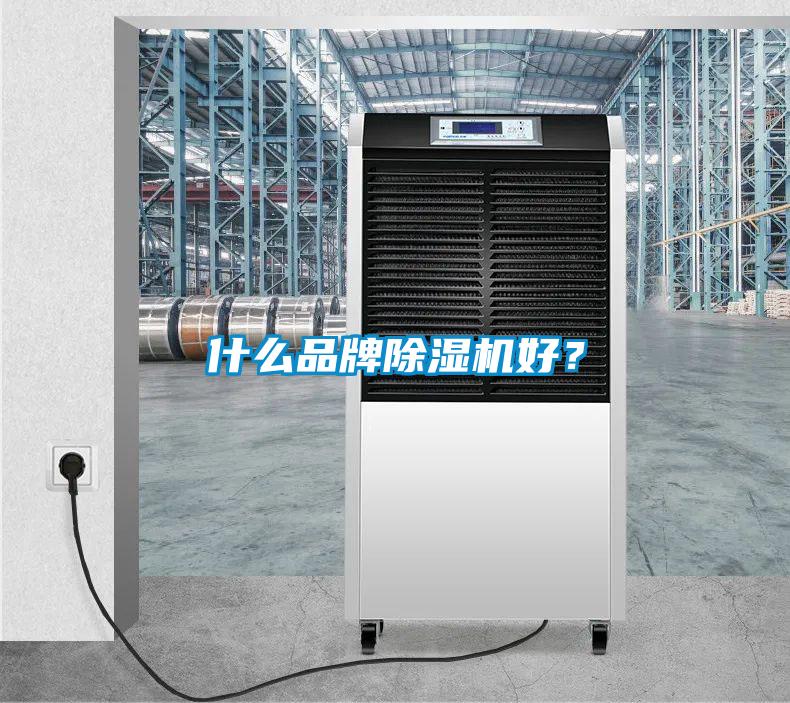 什么品牌除濕機(jī)好？