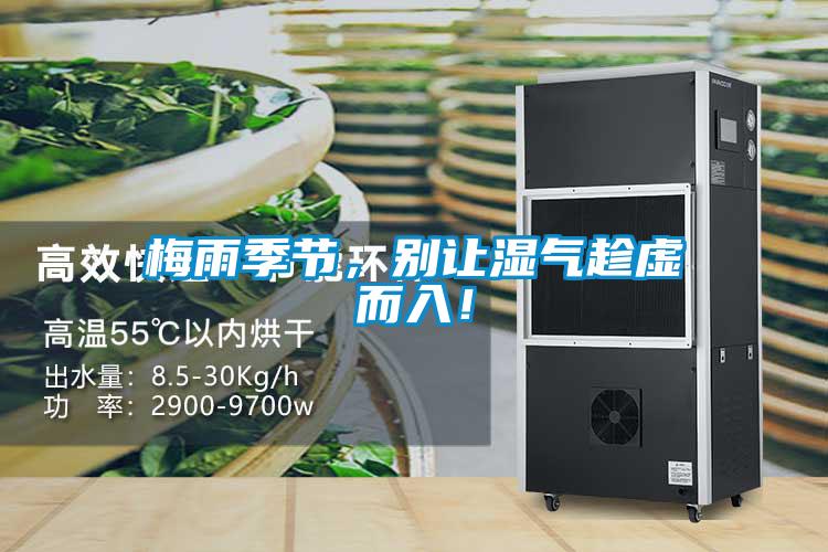 梅雨季節(jié)，別讓濕氣趁虛而入！