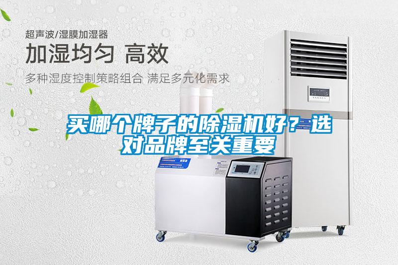 買哪個牌子的除濕機好？選對品牌至關(guān)重要