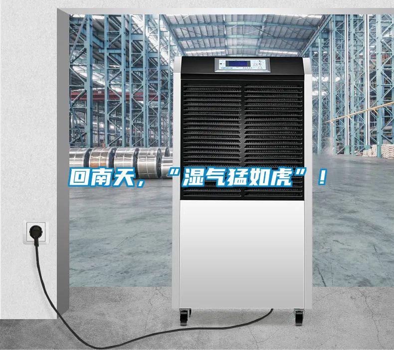 回南天，“濕氣猛如虎”！