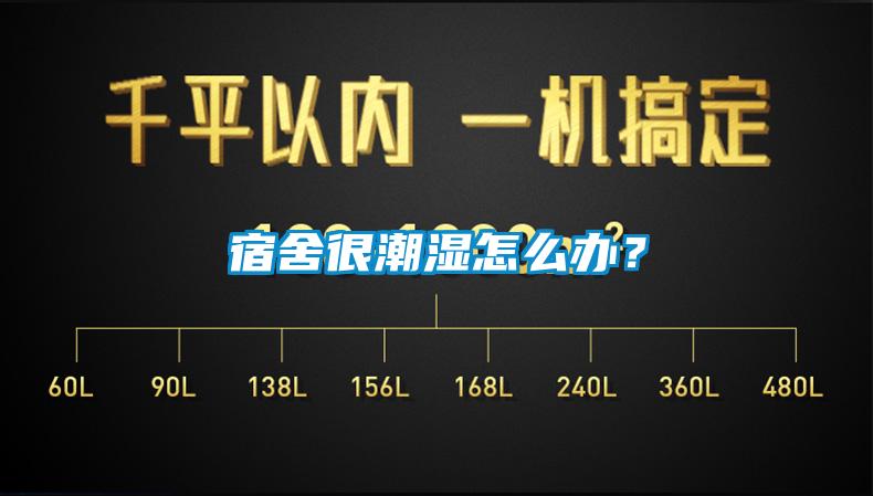 宿舍很潮濕怎么辦？