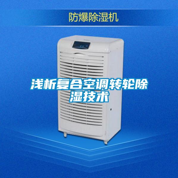 淺析復合空調(diào)轉(zhuǎn)輪除濕技術(shù)