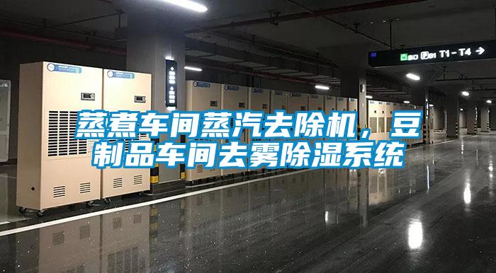 蒸煮車間蒸汽去除機(jī)，豆制品車間去霧除濕系統(tǒng)