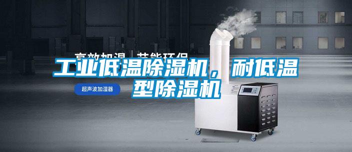 工業(yè)低溫除濕機，耐低溫型除濕機